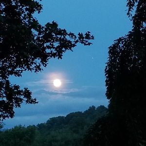 Meet your Posher, Shareen